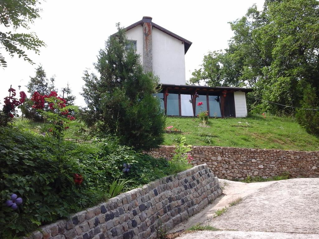 Villa Casa Piscul Lupului Pucioasa Exterior foto